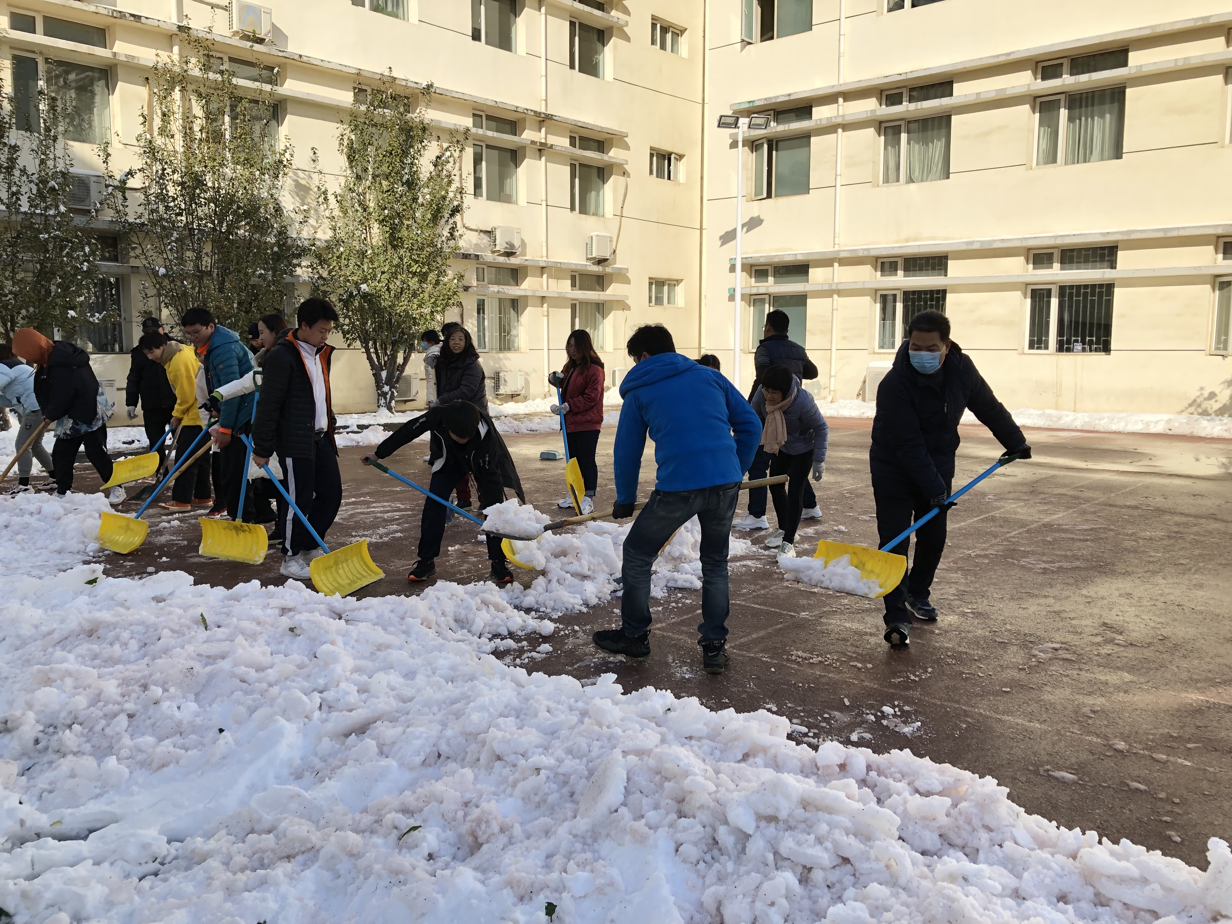 扫雪除冰暖人心 ——记我校师生员工积极清除校园积雪(图1)