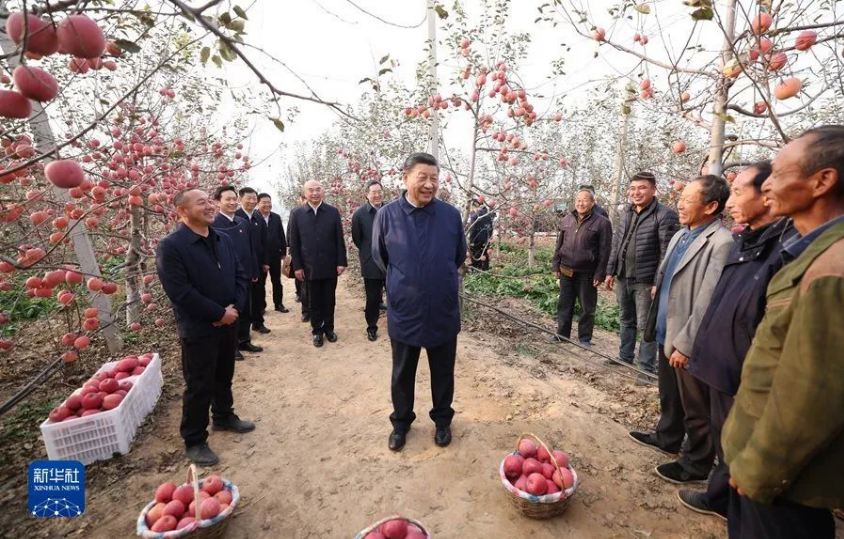 习近平在陕西延安和河南安阳考察时强调 全面推进乡村振兴 为实现农业农村现代化而不懈奋斗(图1)